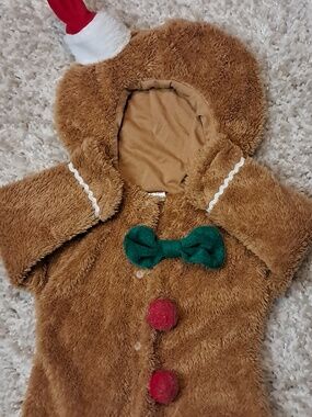 Gingerbread Infant Holiday Fuzzy One-Piece